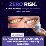 Xylo daily dental chewable thumbnail 6
