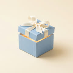 Mystery Gift